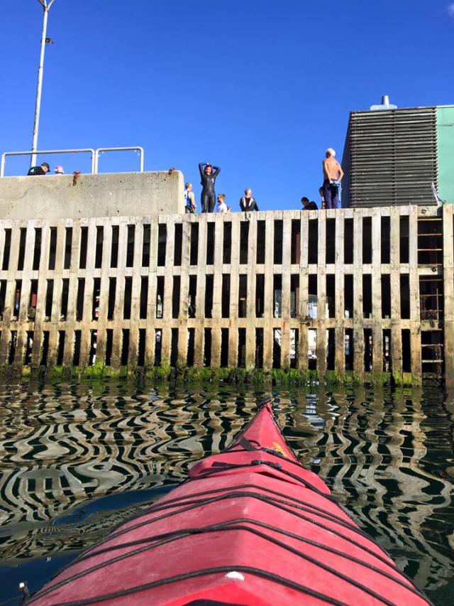 14095823_10153671874972407_4423221368782519839_n