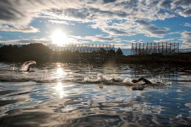 14115031_10155080610853998_2771309837583175611_o